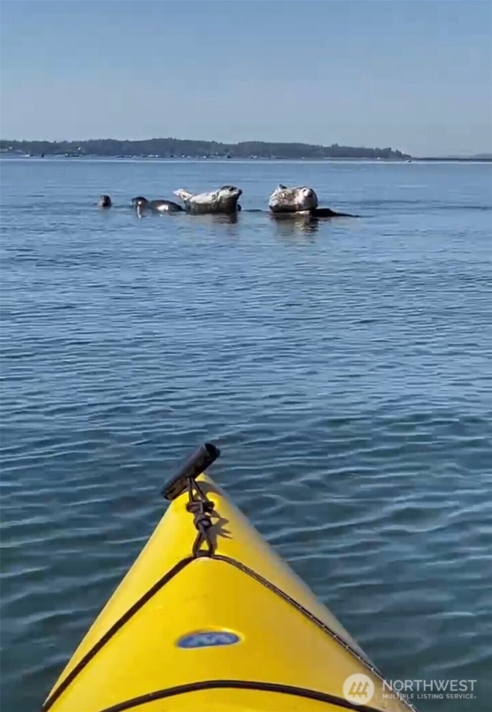 19810 Soundview Drive NW, Stanwood, WA 98292