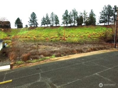 807 Zillah West Road , Zillah, WA 98953 - Photo 8