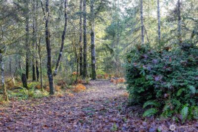 6935 Steamboat Island Road NW, Olympia, WA 98502 - Photo 36