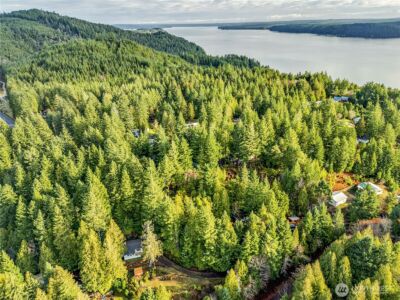 0 Cirque Drive , Brinnon, WA 98320