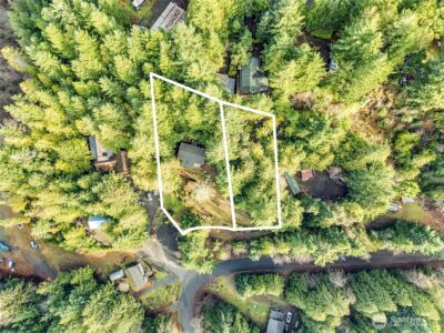 0 Cirque Drive , Brinnon, WA 98320 - Photo 2