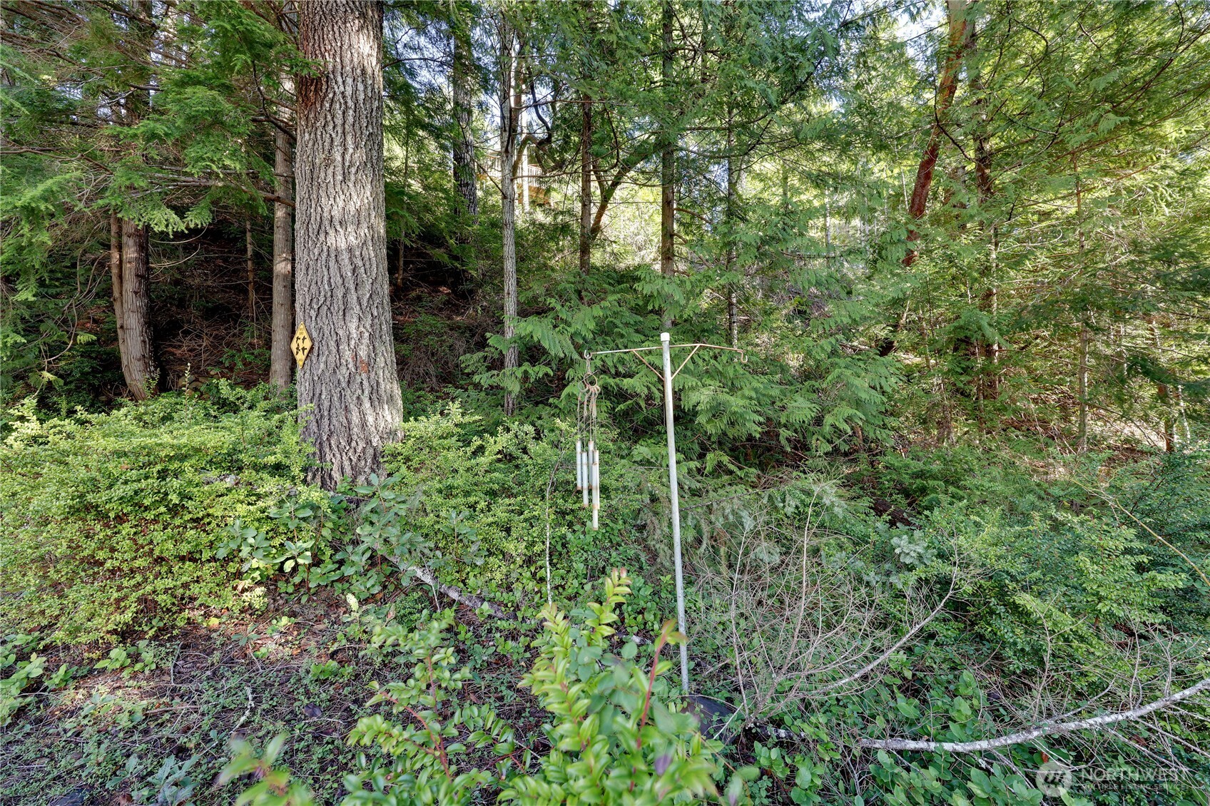 0 Cirque Drive , Brinnon, WA 98320