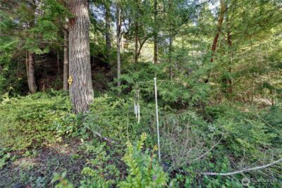 0 Cirque Drive , Brinnon, WA 98320 - Photo 7