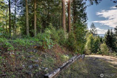 0 Cirque Drive , Brinnon, WA 98320 - Photo 8