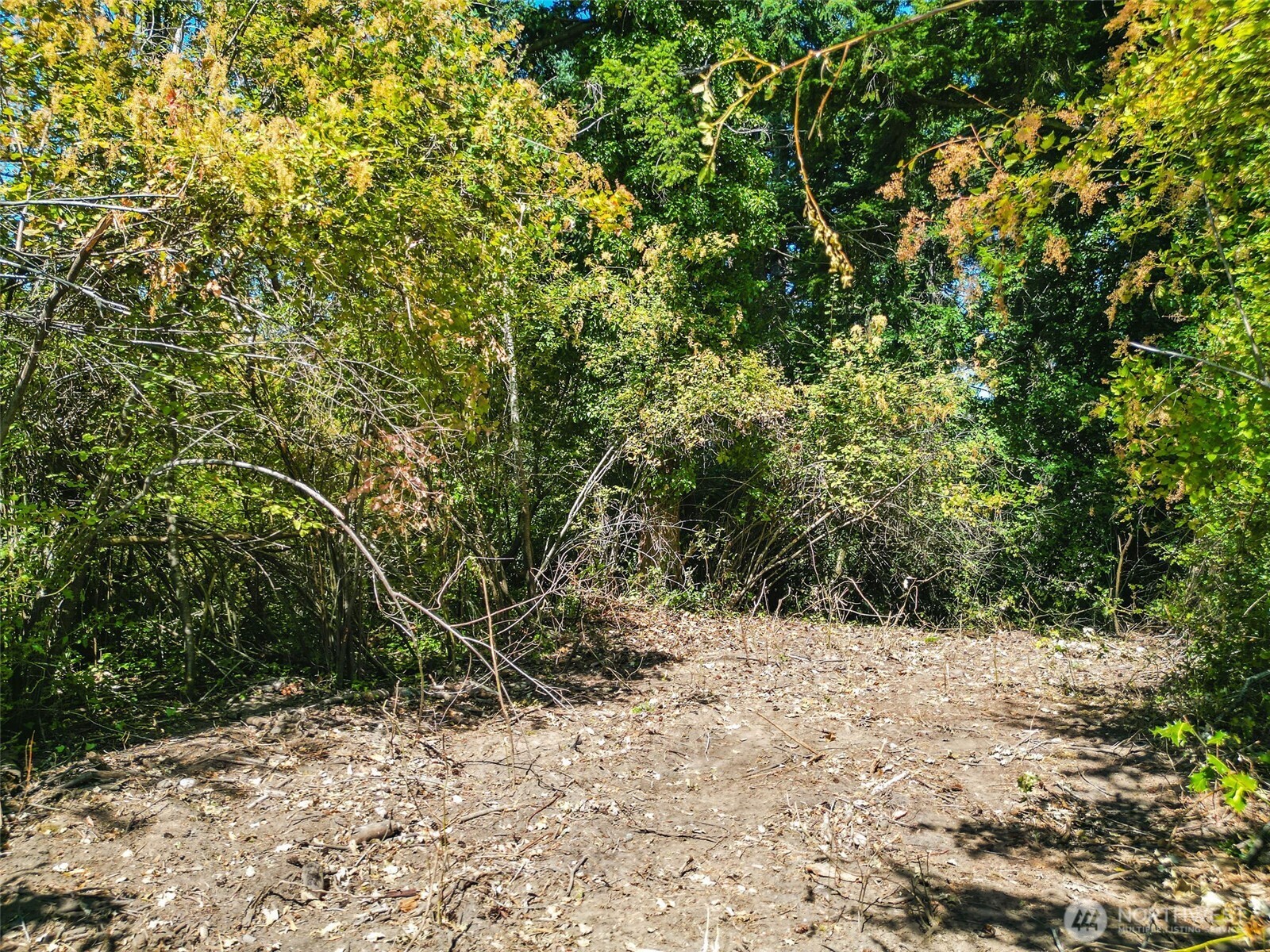 999 Reed Street , Port Townsend, WA 98368