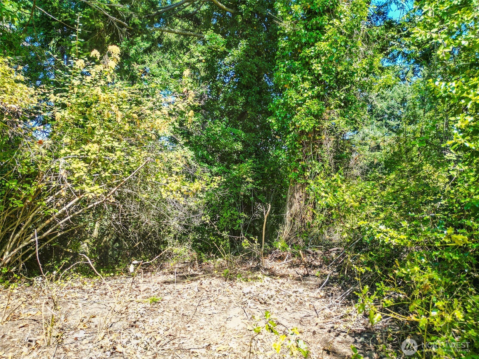 999 Reed Street , Port Townsend, WA 98368