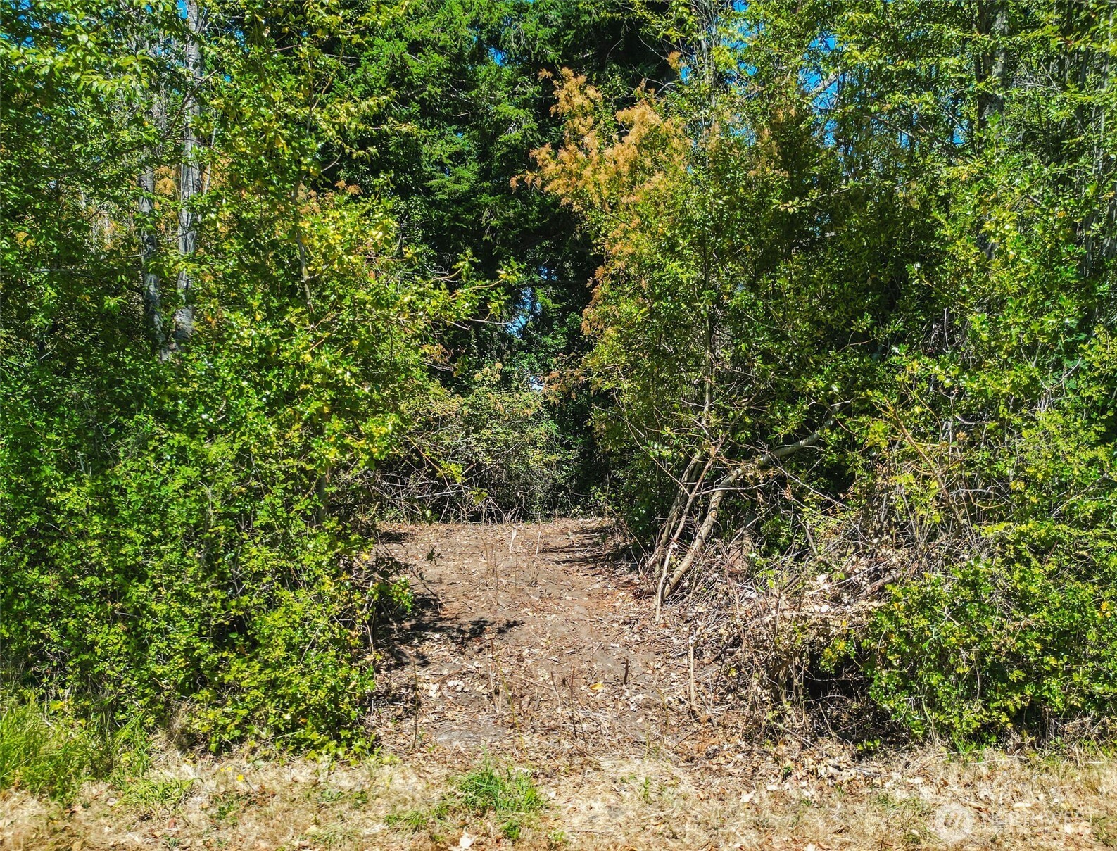 999 Reed Street , Port Townsend, WA 98368