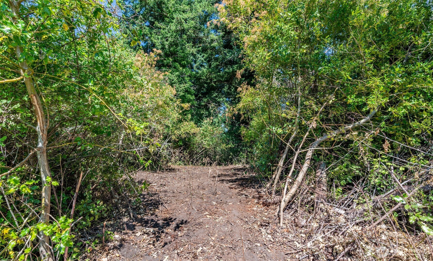 999 Reed Street , Port Townsend, WA 98368