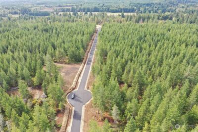 0 Lot 1 Div 2 Raven Lane , Elma, WA 98541 - Photo 4