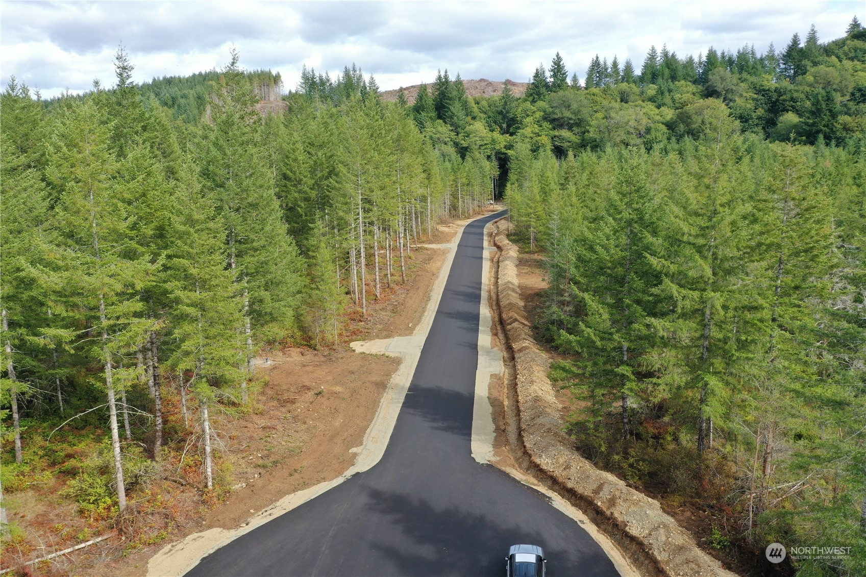 0 Lot 1 Div 2 Raven Lane , Elma, WA 98541