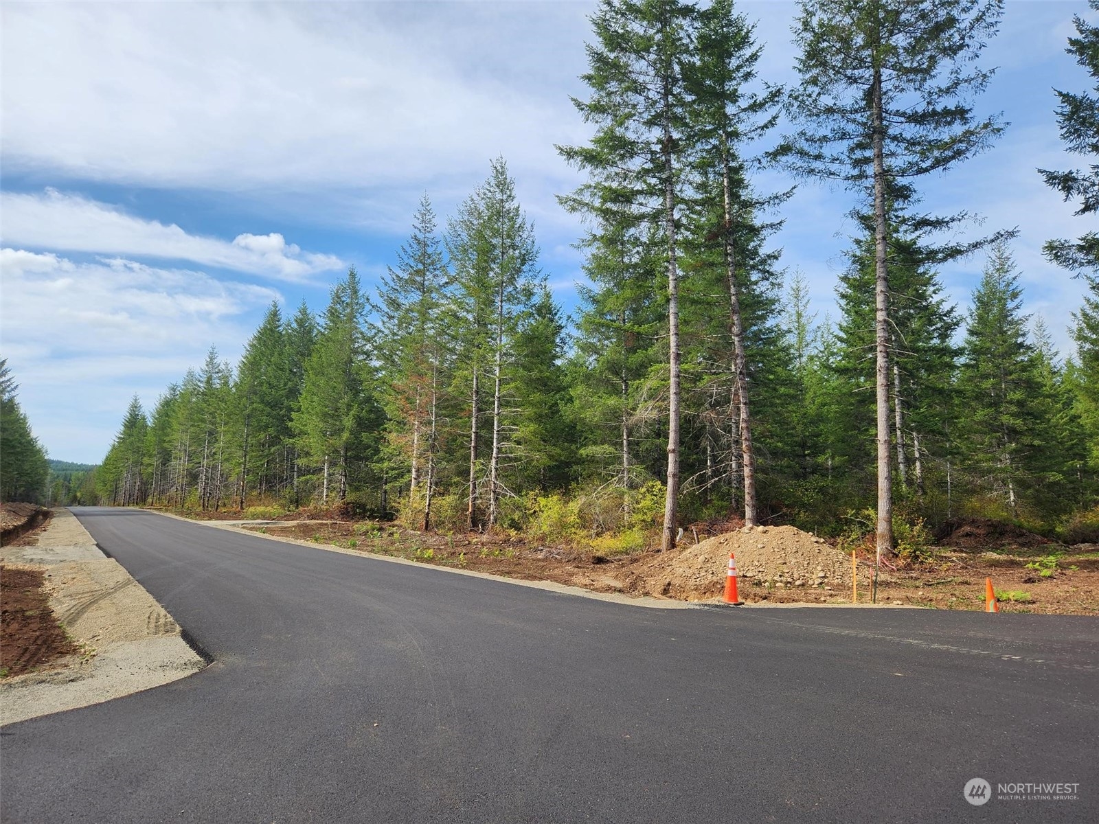 0 Lot 1 Div 2 Raven Lane , Elma, WA 98541