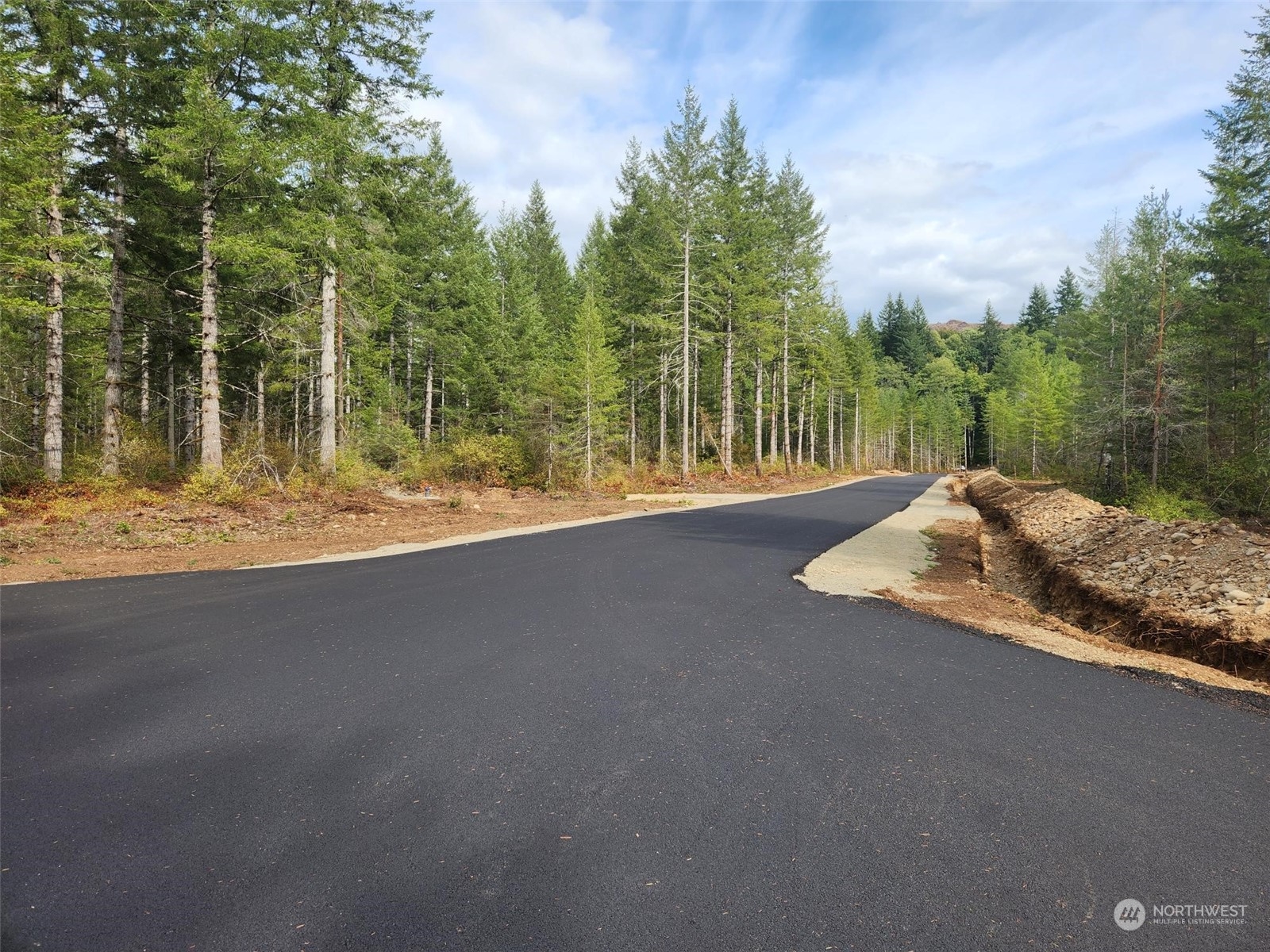 0 Lot 5 Div 1 Raven Lane , Elma, WA 98541