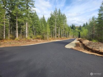 0 Lot 5 Div 1 Raven Lane , Elma, WA 98541