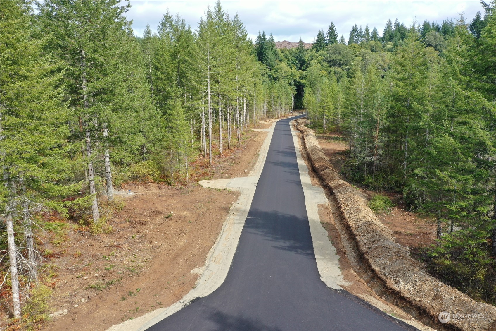 0 Lot 5 Div 1 Raven Lane , Elma, WA 98541