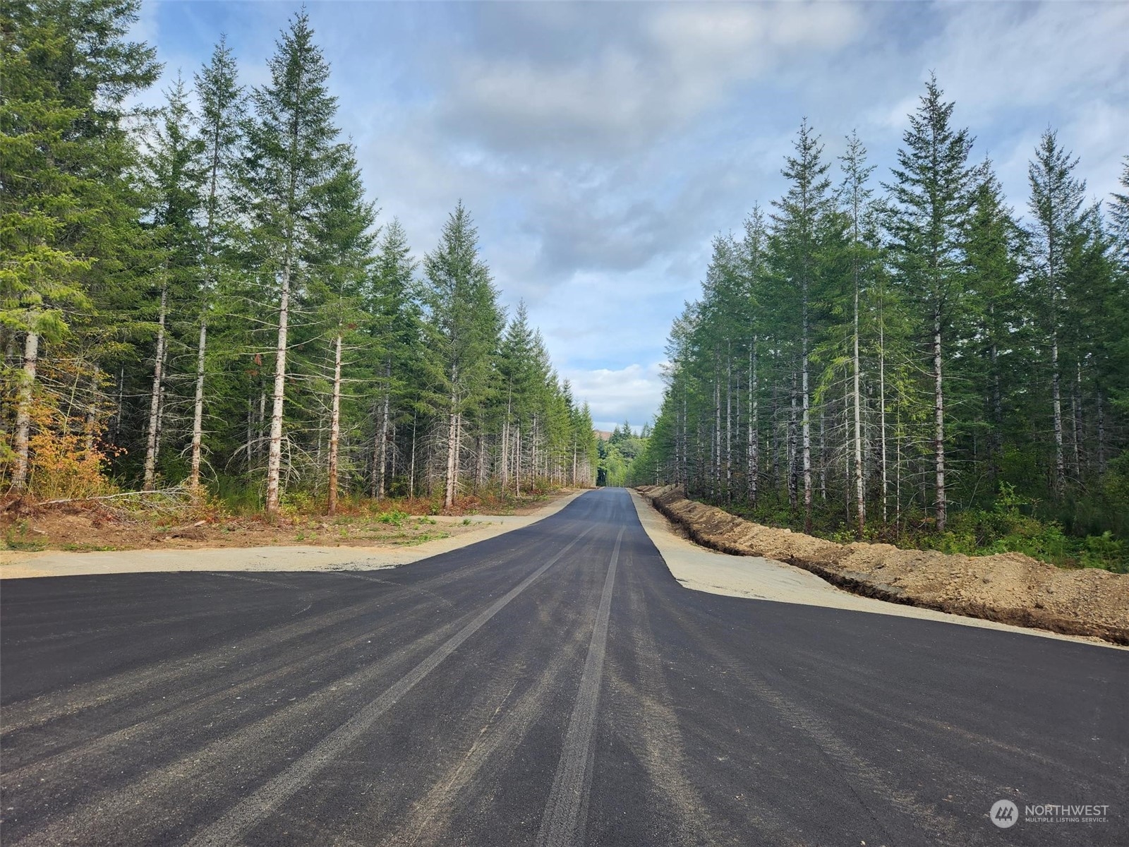 0 Lot 5 Div 1 Raven Lane , Elma, WA 98541