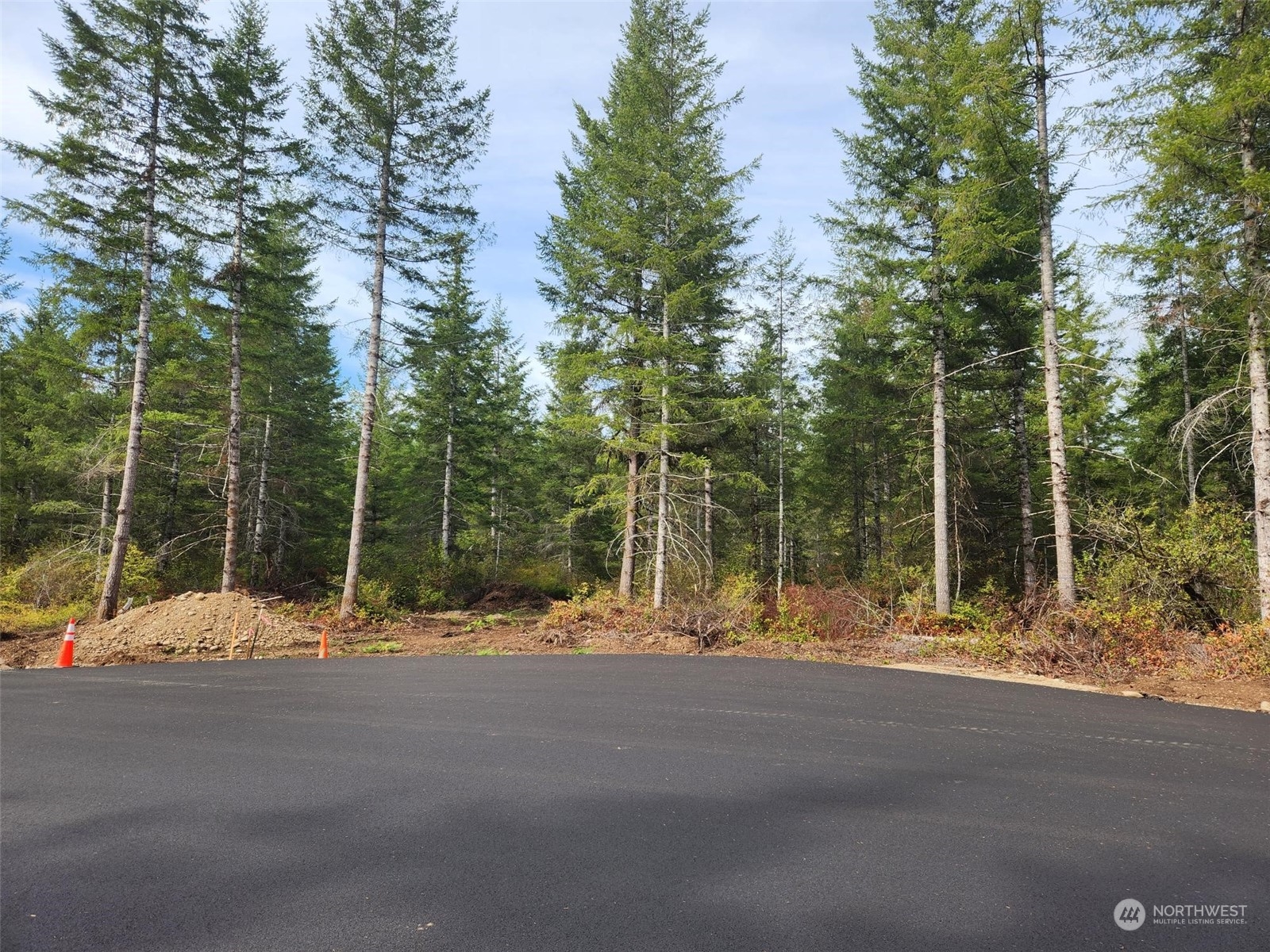 0 Lot 1 Div 1 Raven Lane , Elma, WA 98541