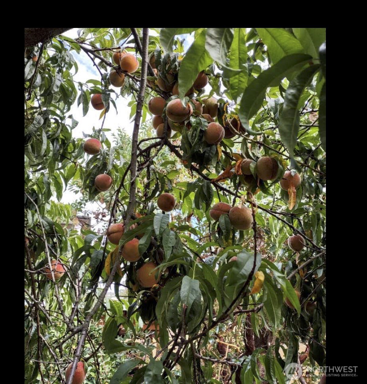 6121 Madrona Drive NE, Tacoma, WA 98422