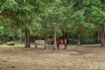 14628 SE Vail Cut Off Road , Rainier, WA 98576 - Photo 34
