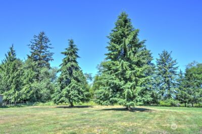 0 XXX Devonshire Road , Montesano, WA 98563 - Photo 2