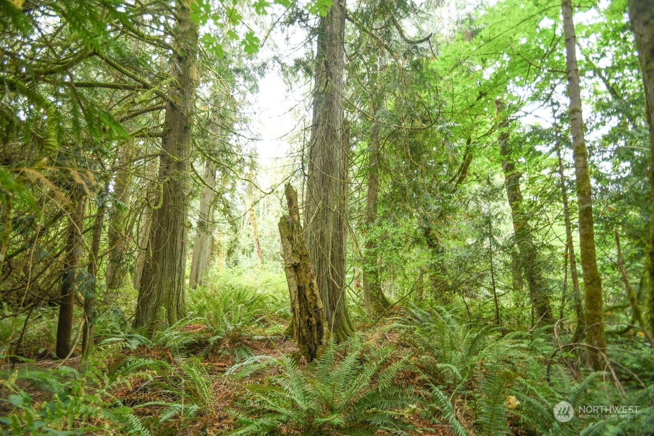 7047 Kellogg Drive NE, Olympia, WA 98516