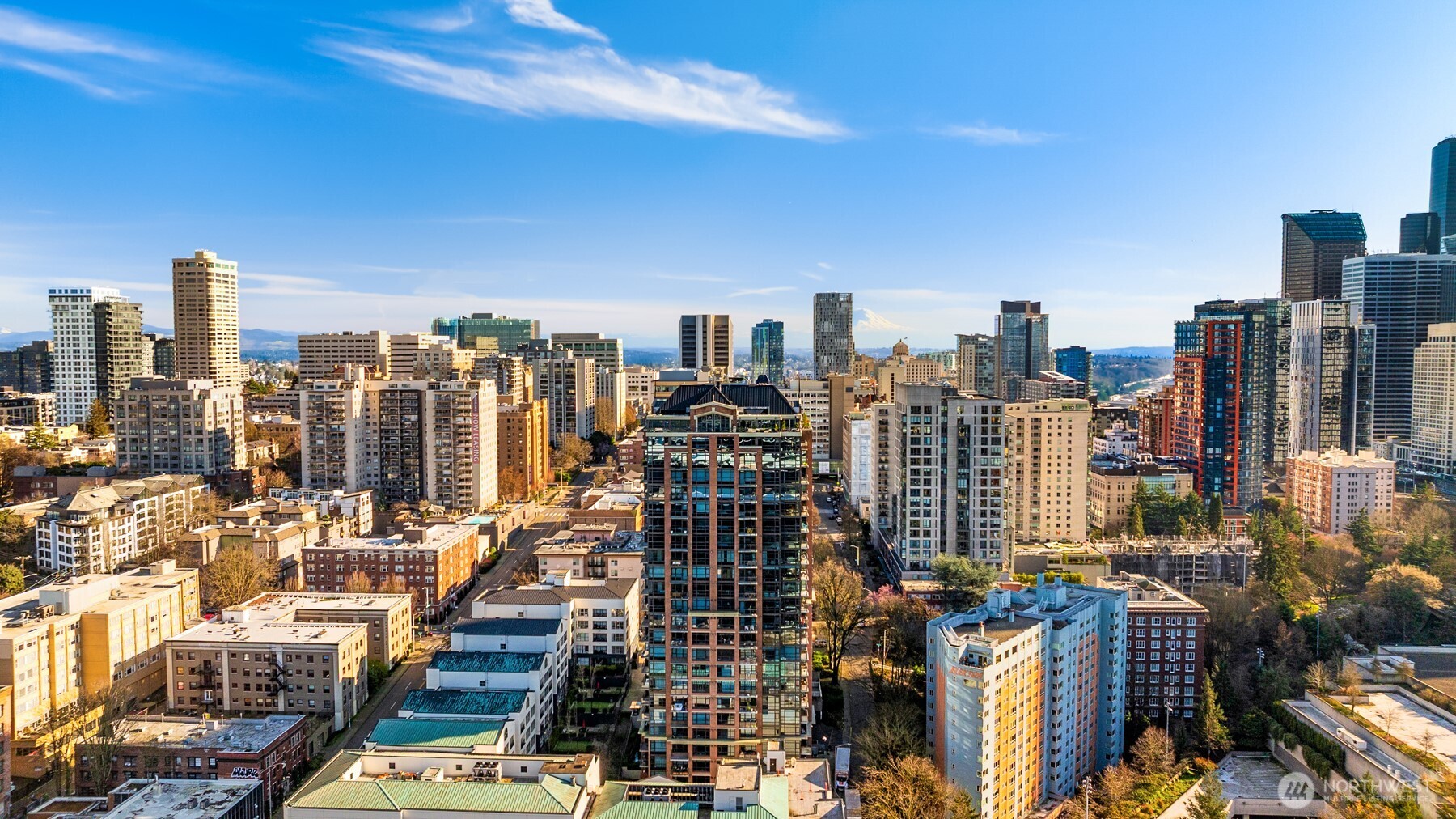 1420 Terry Avenue #1001, Seattle, WA 98101