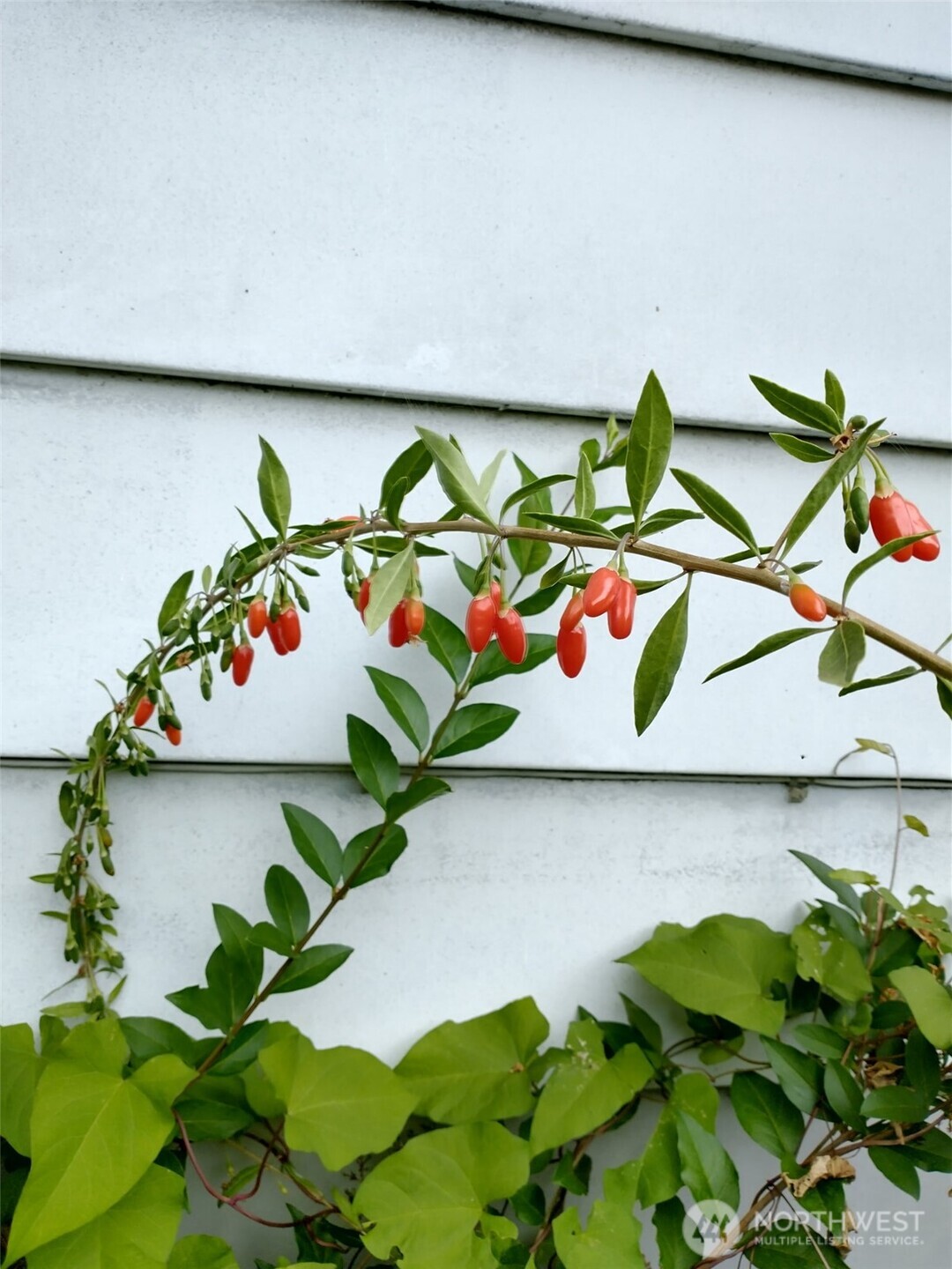 943 23rd Avenue , Seattle, WA 98122