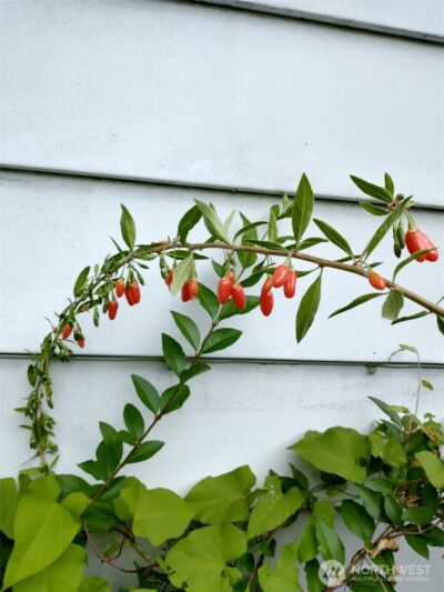 943 23rd Avenue , Seattle, WA 98122 - Photo 35