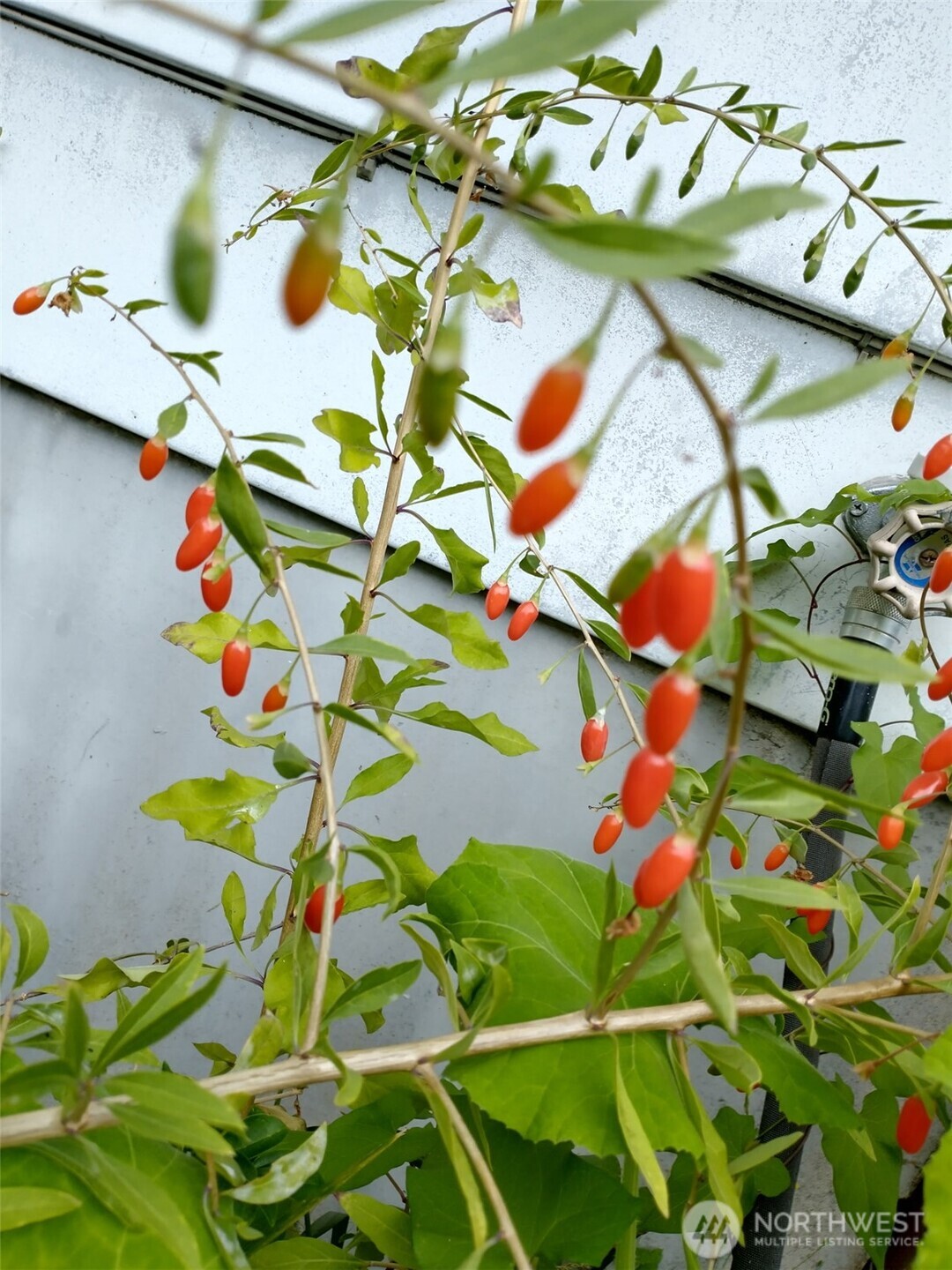 943 23rd Avenue , Seattle, WA 98122