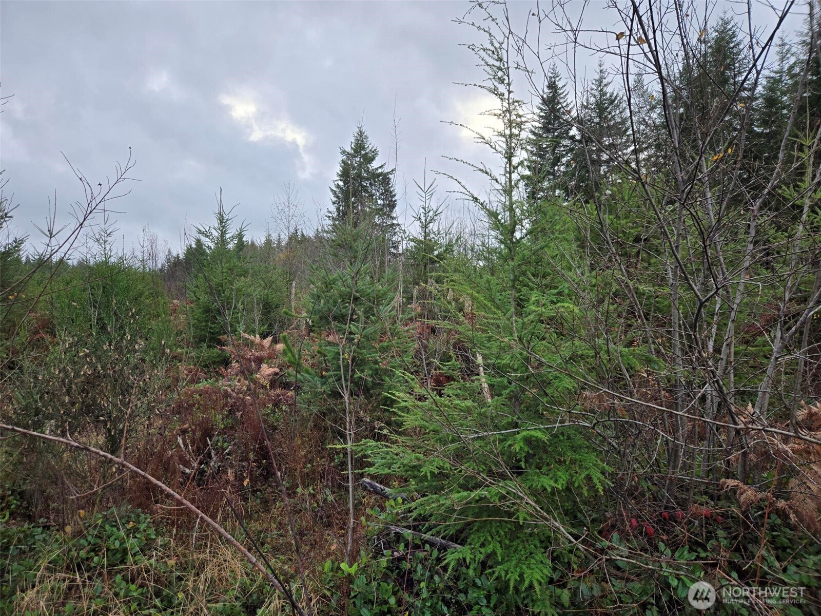 0 NKA Bowes Road N, Hoquiam, WA 98550