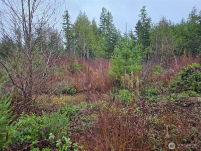 0 NKA Bowes Road N, Hoquiam, WA 98550 - Photo 14