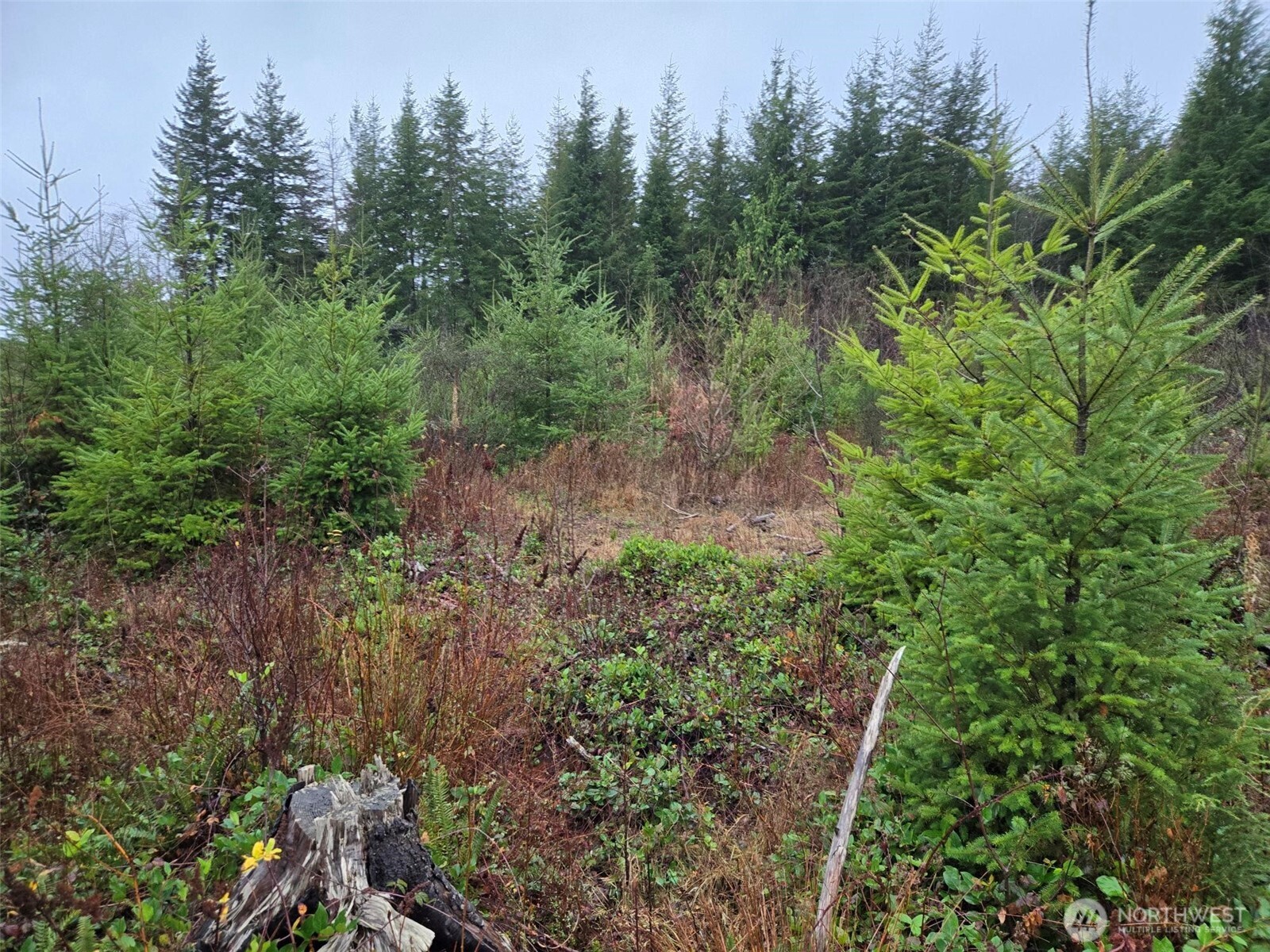 0 NKA Bowes Road N, Hoquiam, WA 98550