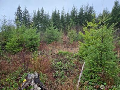 0 NKA Bowes Road N, Hoquiam, WA 98550 - Photo 15