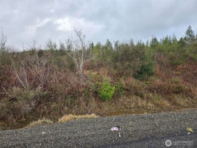 0 NKA Bowes Road N, Hoquiam, WA 98550 - Photo 17
