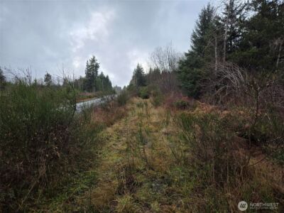 0 NKA Bowes Road N, Hoquiam, WA 98550 - Photo 8