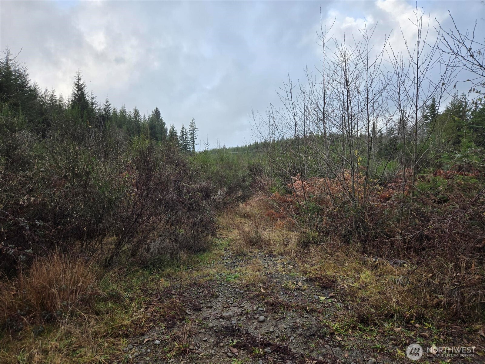 0 NKA Bowes Road N, Hoquiam, WA 98550