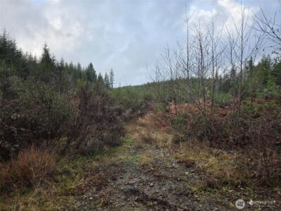 0 NKA Bowes Road N, Hoquiam, WA 98550 - Photo 9