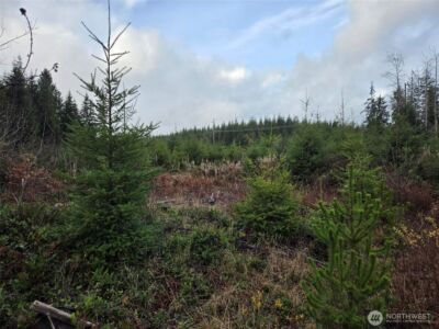 0 NKA Bowes Road N, Hoquiam, WA 98550 - Photo 10