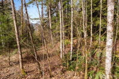 10211 Mt Baker Hwy , Deming, WA 98244 - Photo 15