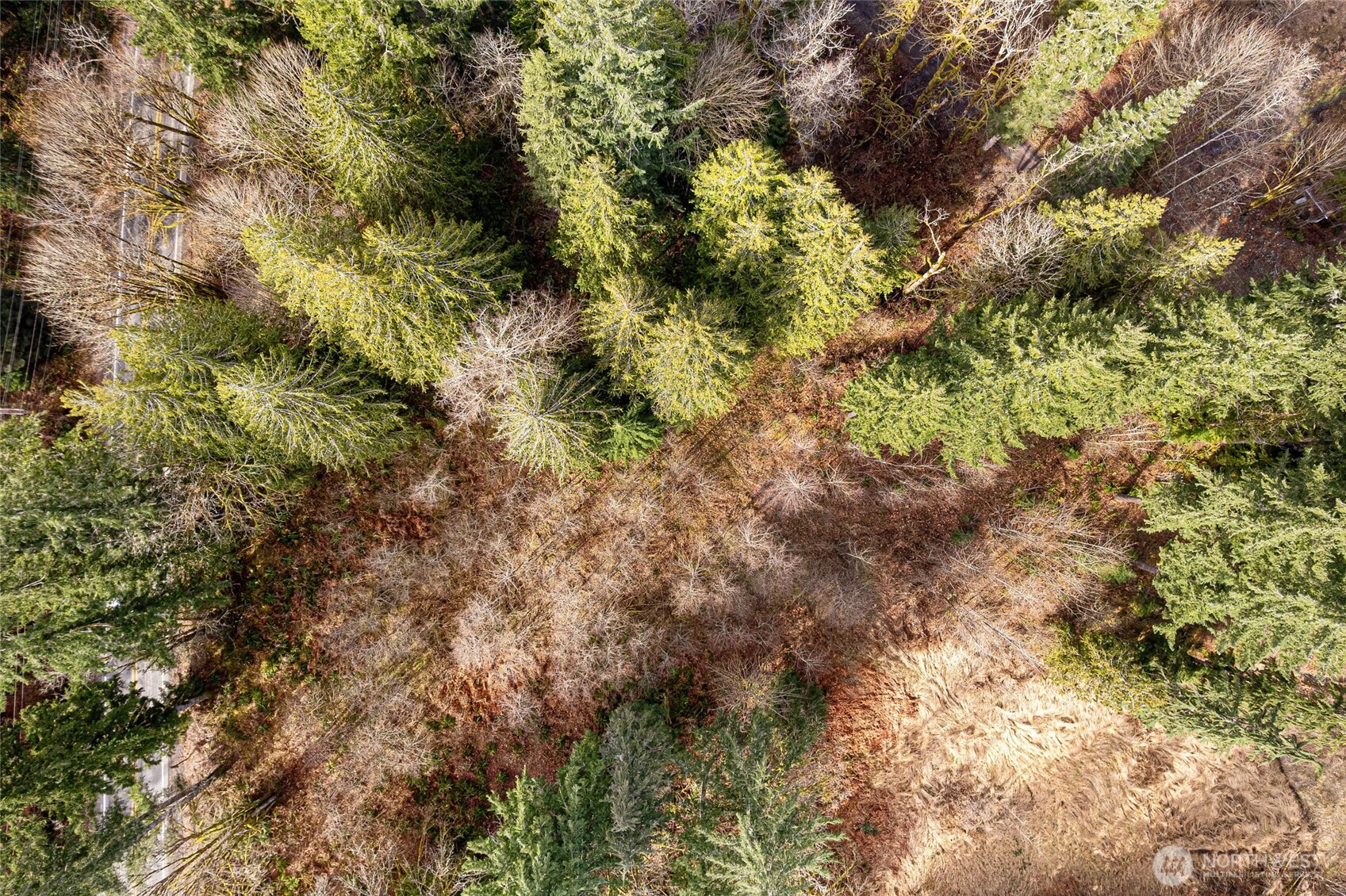 10211 Mt Baker Hwy , Deming, WA 98244