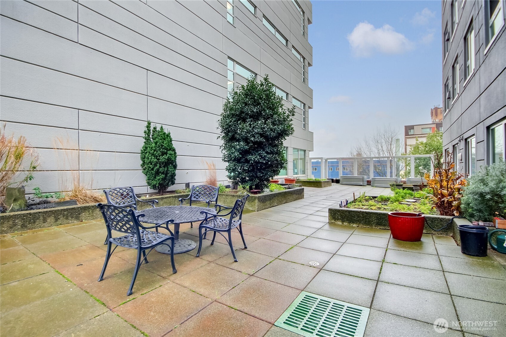 121 Vine Street #505, Seattle, WA 98121