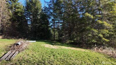 53613 Shular Road , Rockport, WA 98283 - Photo 9
