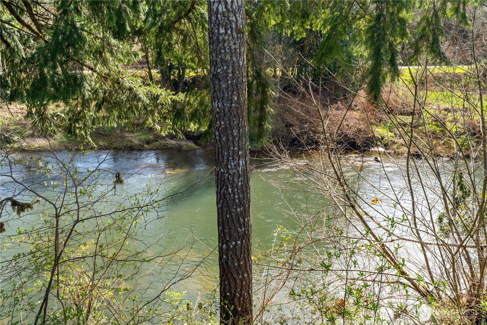 110 Chandler Road , Chehalis, WA 98532