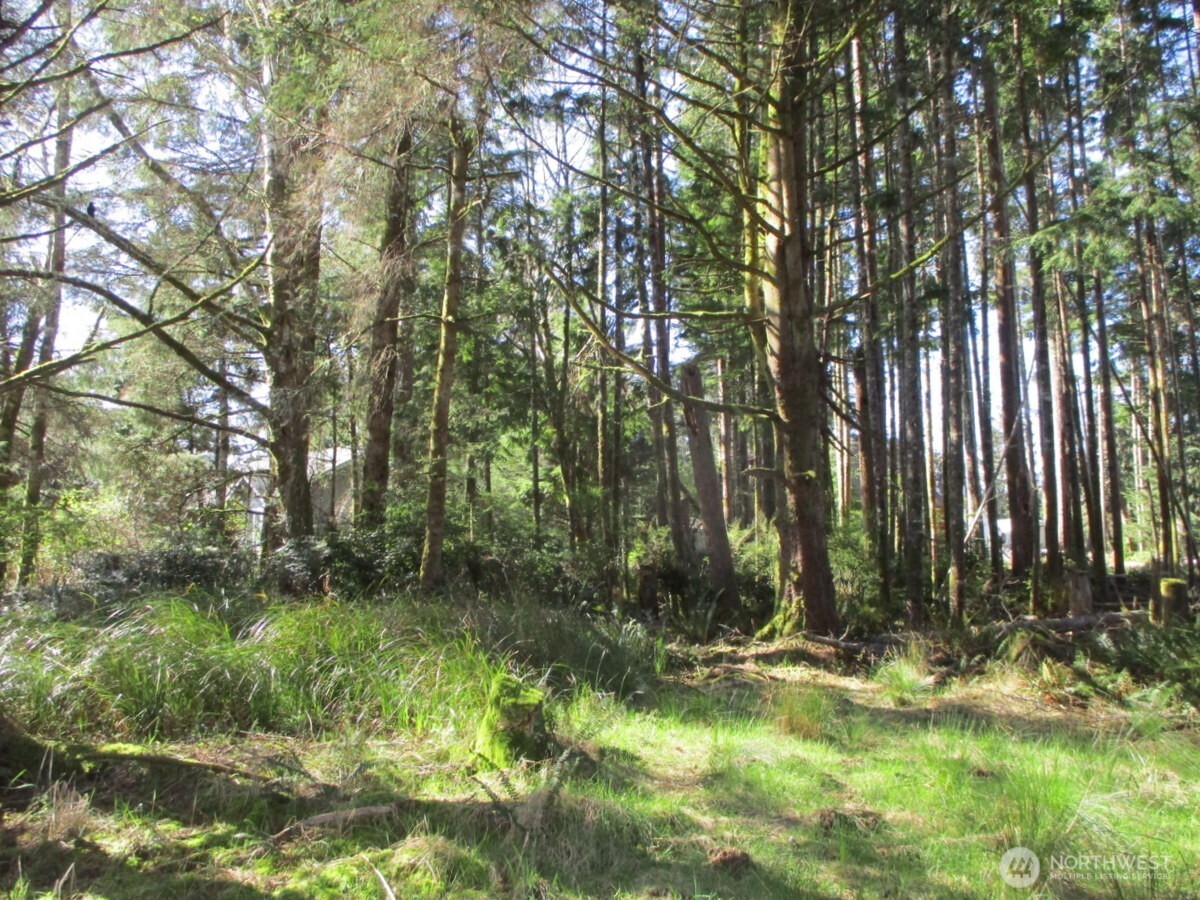 111 Olympic View Avenue NE, Ocean Shores, WA 98569