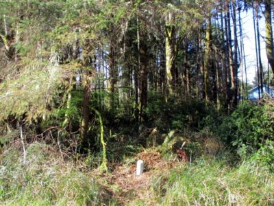 111 Olympic View Avenue NE, Ocean Shores, WA 98569 - Photo 2