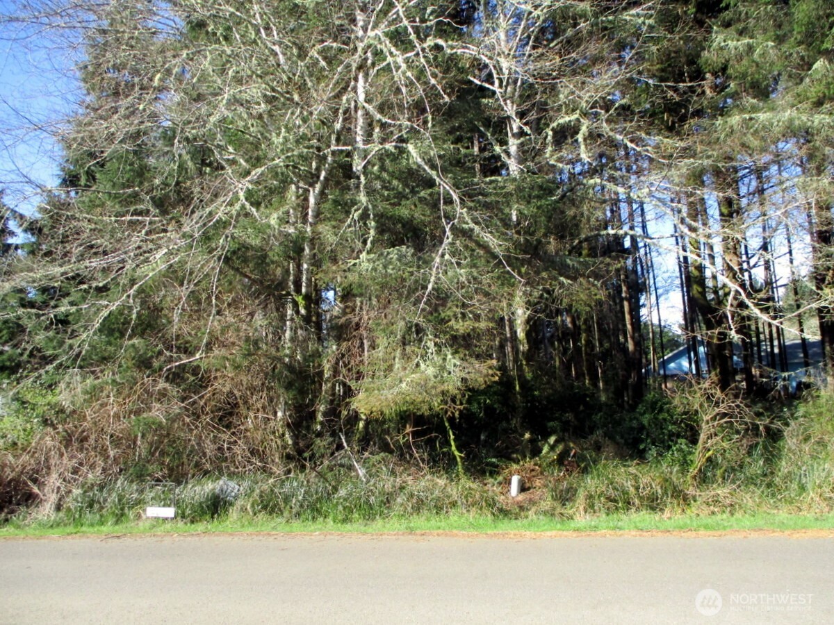 111 Olympic View Avenue NE, Ocean Shores, WA 98569