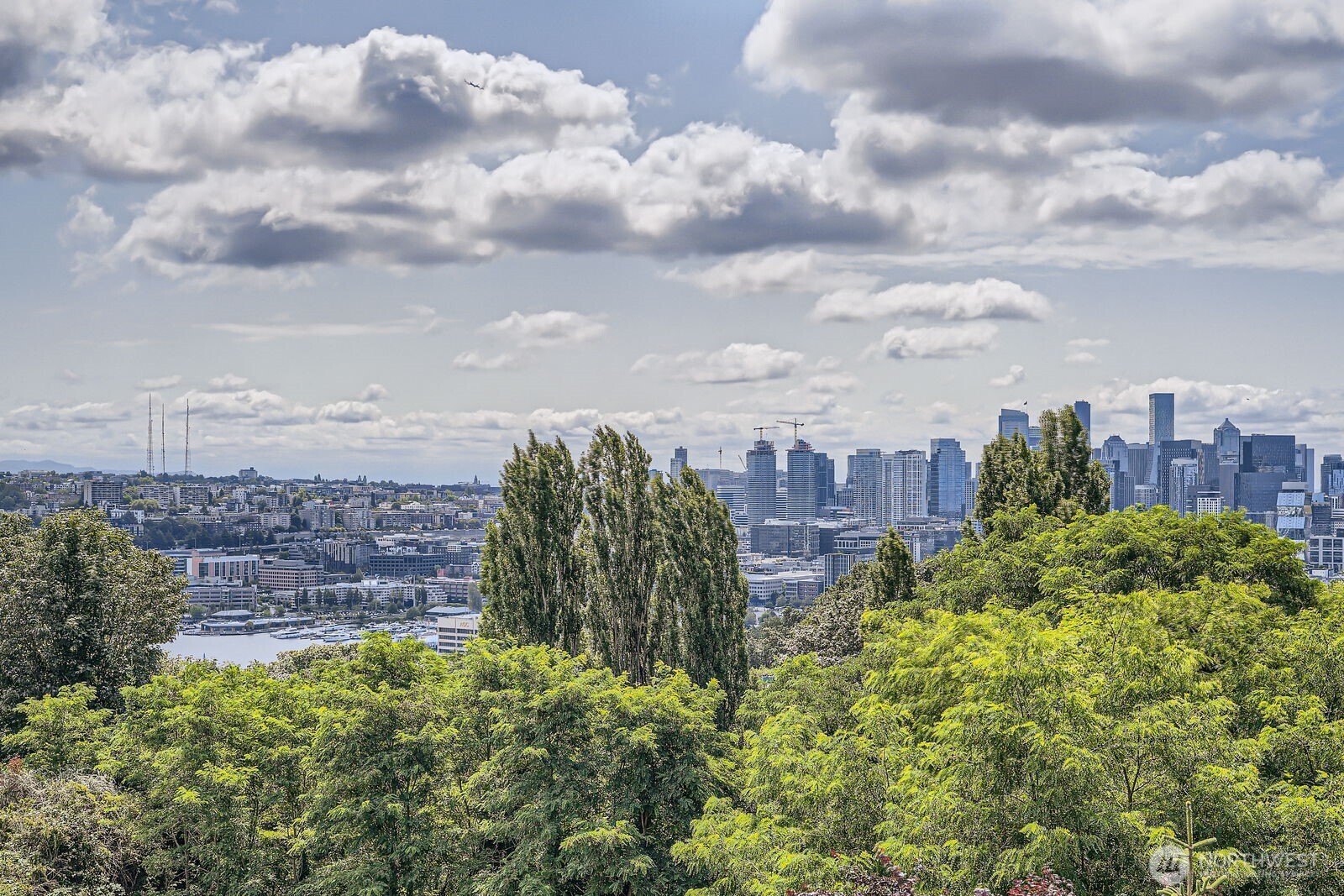 517 Howe Street #B, Seattle, WA 98109