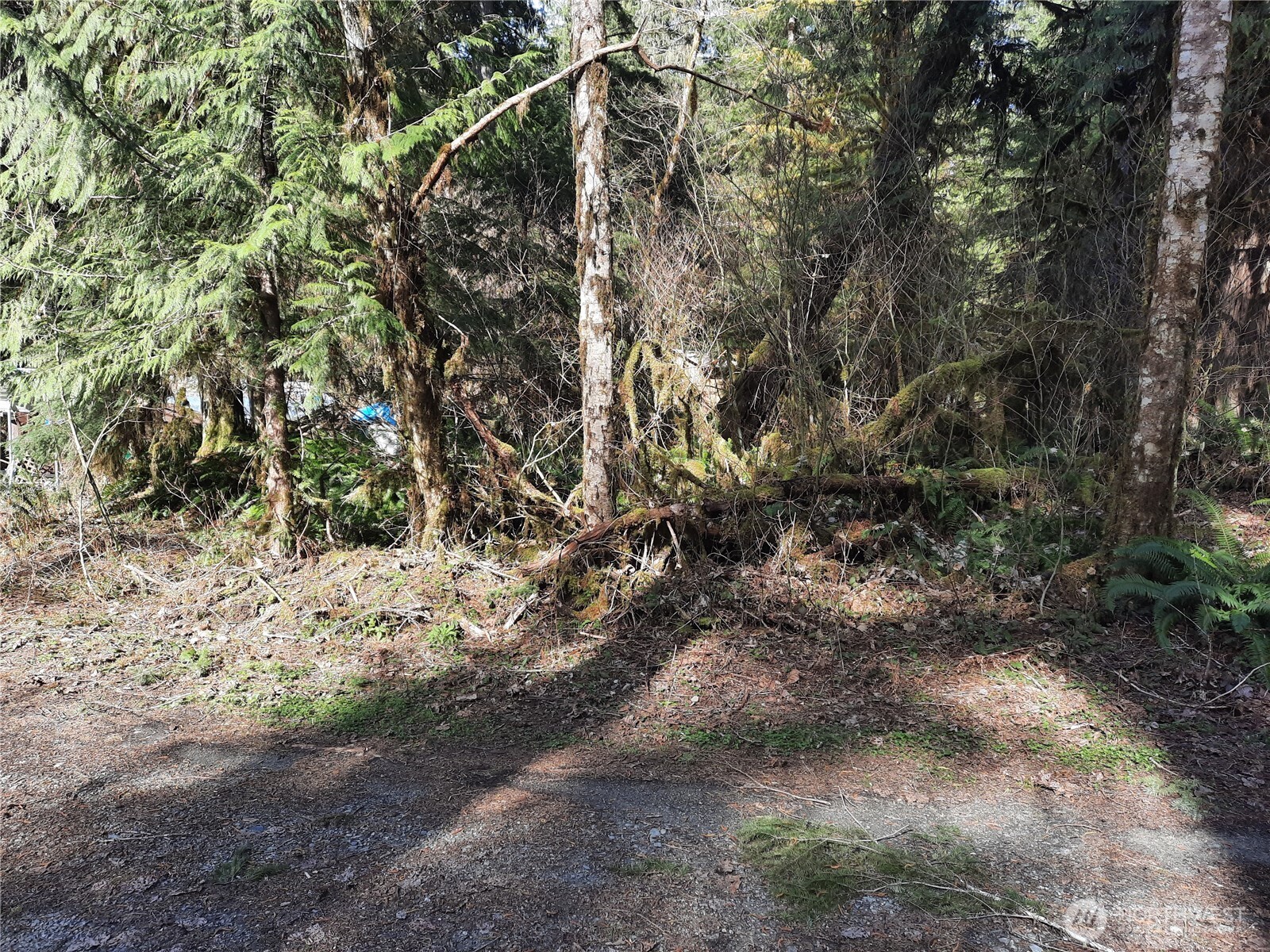 8535 Beaver Place , Marblemount, WA 98267