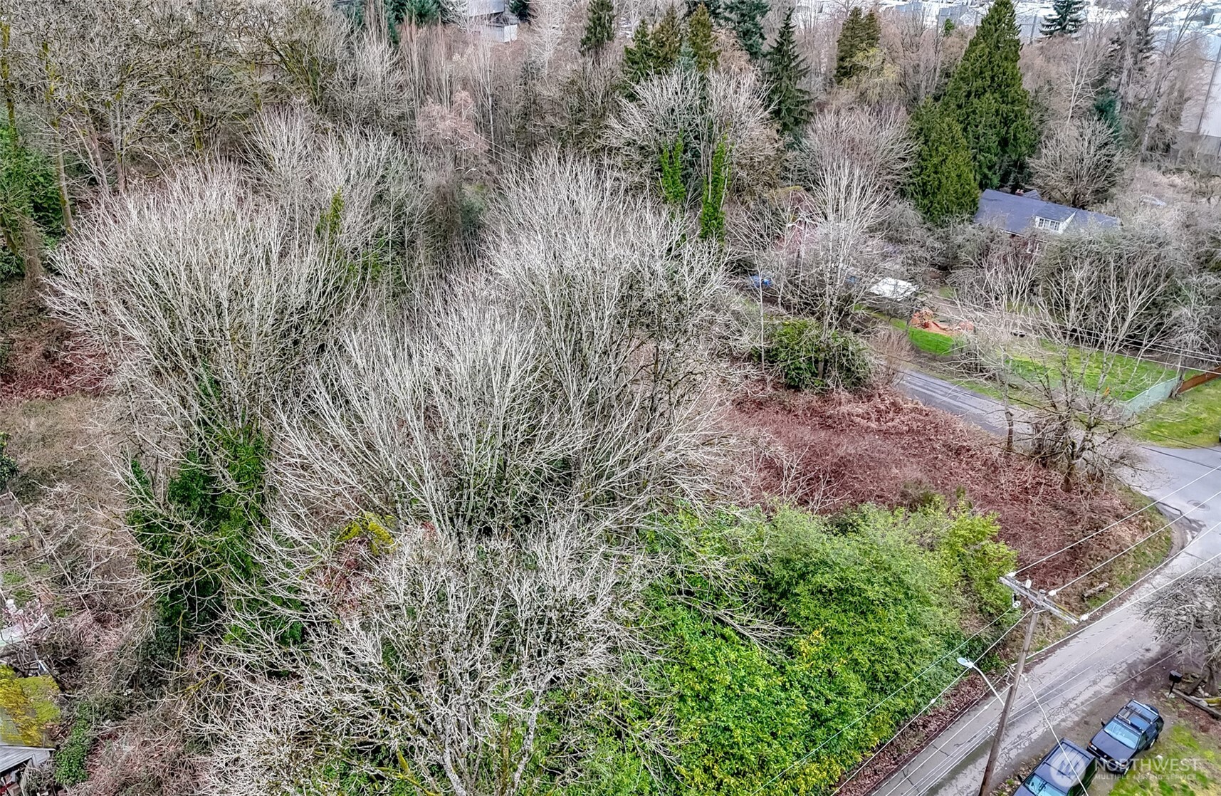 12613 35th Avenue S, Tukwila, WA 98168