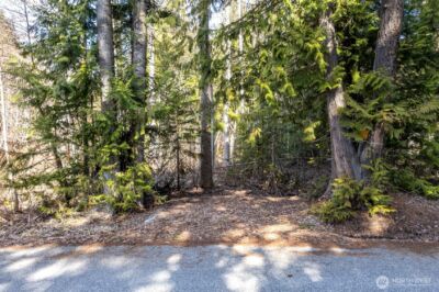 22740 Brown Road , Leavenworth, WA 98826 - Photo 9