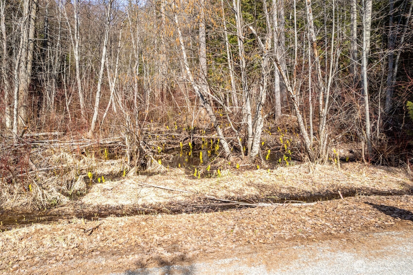 22740 Brown Road , Leavenworth, WA 98826